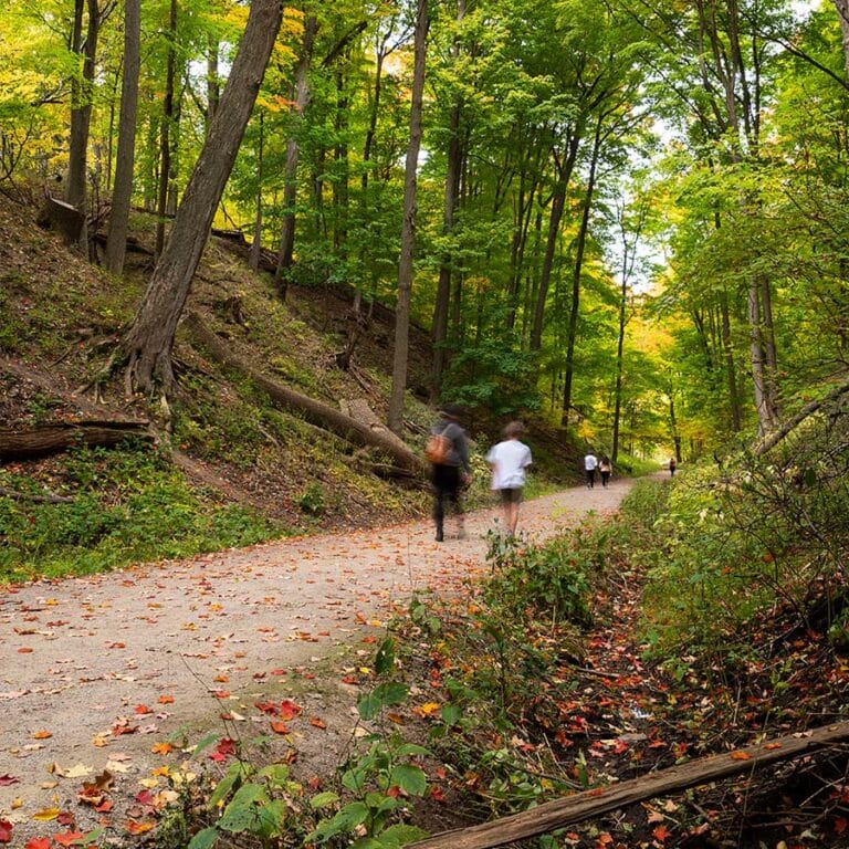 Dundas Valley