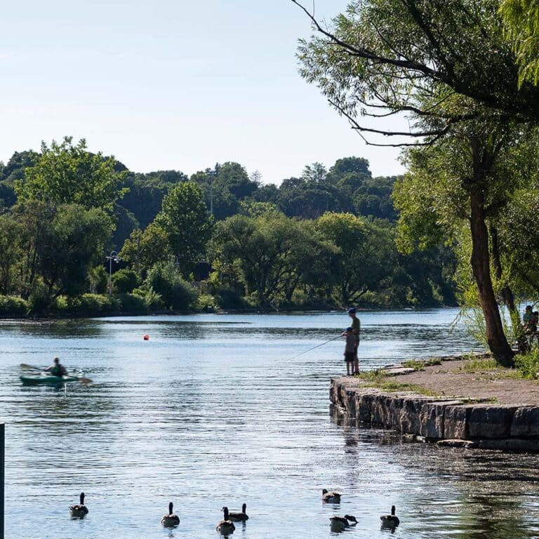 Cootes Paradise Sanctuary